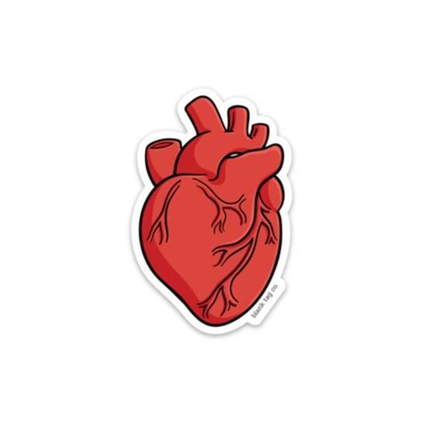 Der Anatomische Herz Aufkleber Medical Stickers Tumblr Stickers