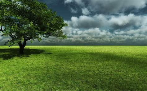 Grass Landscape Background Wallpaper 2560x1600 27184