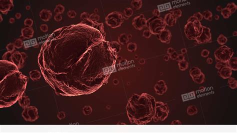 Abstract Red Virus Cells Under Microscope Stock Animation 11509328