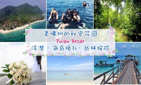 See 100 traveler reviews, 190 candid photos, and great deals for d'coconut resort, ranked #2 of 3 hotels in pulau besar and rated 3 of 5 at tripadvisor. 柔佛州的秘密花园Pulau Besar · 浮潜 · 海岛婚礼· 丛林探险 - JOHORNOW 就在柔佛