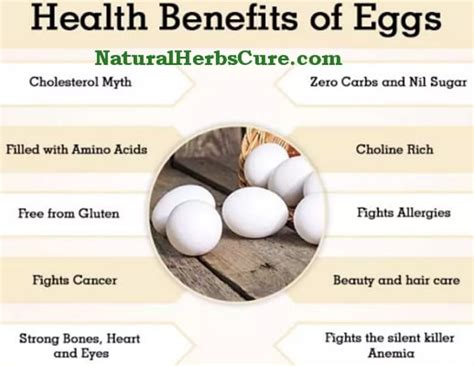 Health Benefits Of Eating Egg Whites And Egg Yolks Nutritional Value