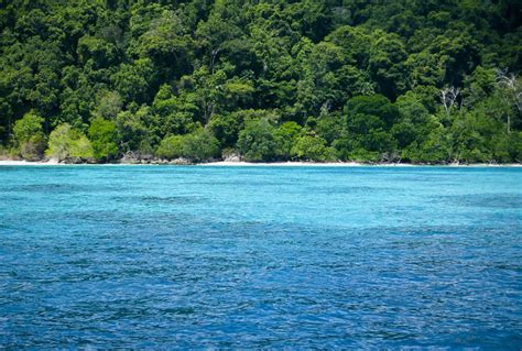 Best Diving Sites In Similan Islands Thailand Scuba Dive Reviews By