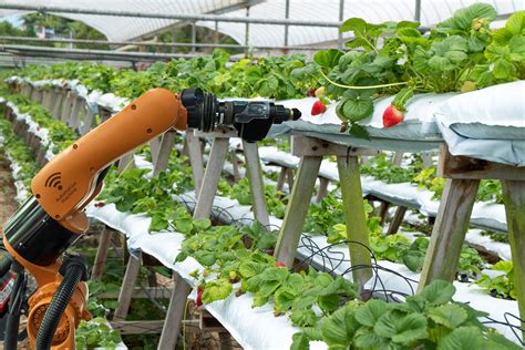 a small group of farm robotics startups is taking on various farming tasks in the hopes of