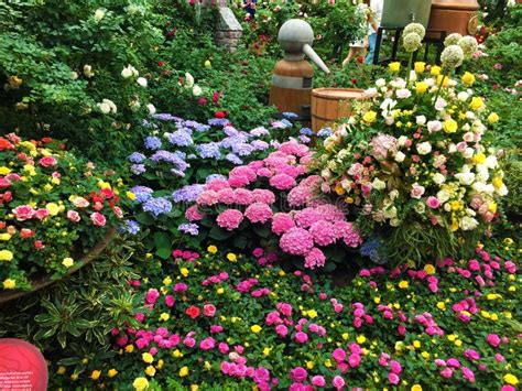 Colorful Variety Of Flowers Including Roses Spread Across A Sprawling