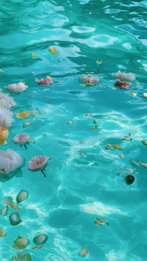 Flowers In The Water Water Aesthetic Light Blue Aesthetic Aesthetic