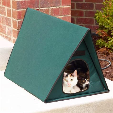 15 Coolest And Awesome Cat Gadgets