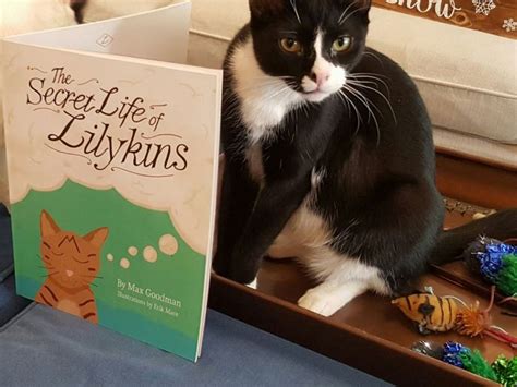 Adopting a pet means you need to commit to and take care of it for please note that the cat welfare society is not a shelter and we do not house any cats. Brooklyn Heights Cat Cafe Holds Children's Book Reading ...