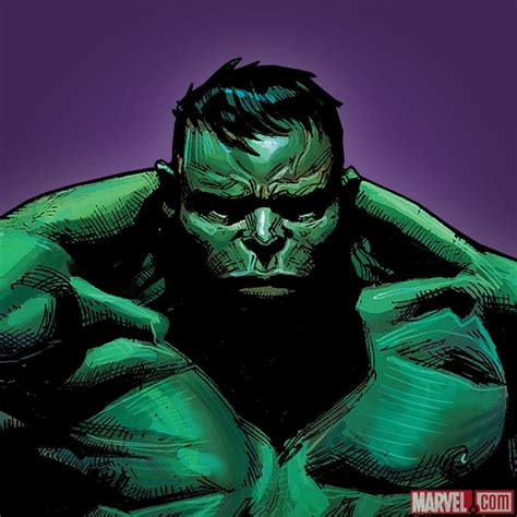 Hulk Bruce Banner Comic Cruncher