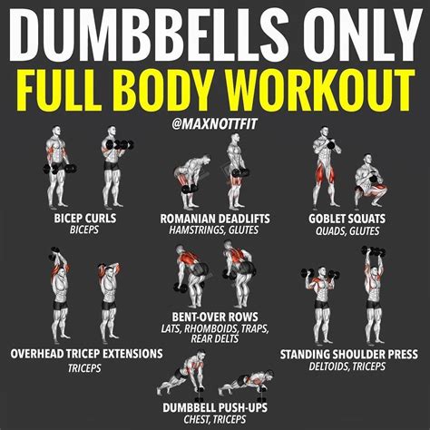 Pin By Steven Green On Weights Full Body Dumbbell Workout Dumbbell