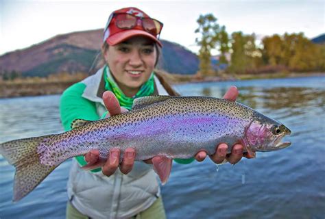 Rainbow Trout Western Montana Fish Species The Missoulian Angler