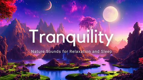 Meditation Music Nature Sounds For Relaxation And Sleep Youtube