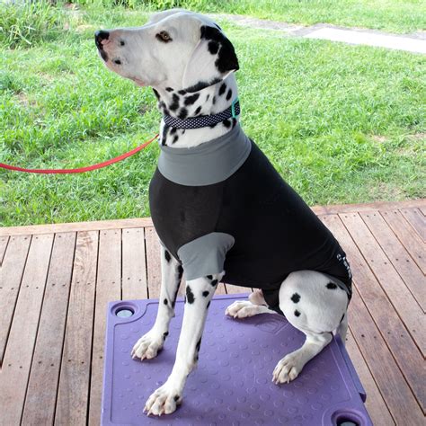 Buster Body Suit For Dogs Vet N Pet Direct