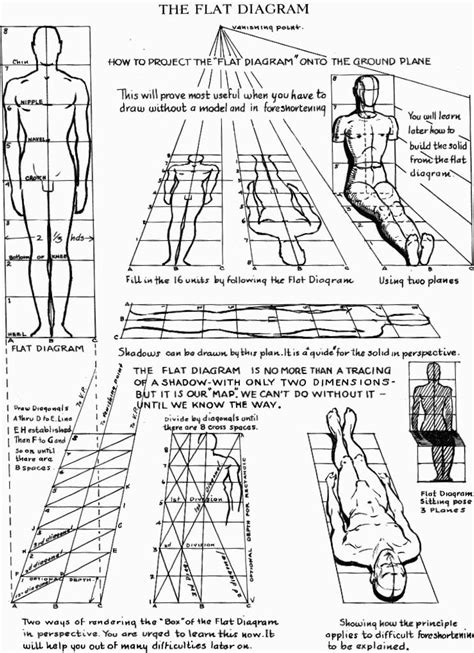 Proportions Of The Human Figure How To Draw The Human