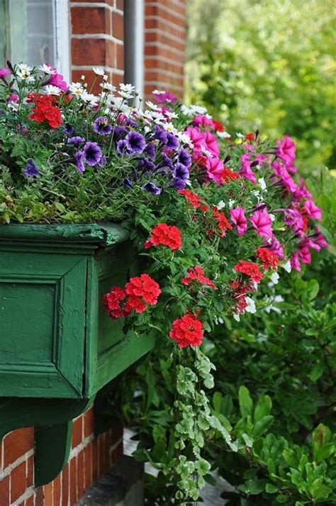 Check out our flower box selection for the very best in unique or custom, handmade pieces from our floral arrangements shops. Awesome Plant Combinations For Window Boxes 12 | Window ...