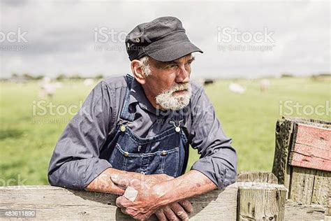 Elderly Farmer Surveying His Farmland Stock Photo Download Image Now