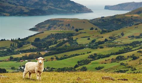 What Are The Major Natural Resources Of New Zealand