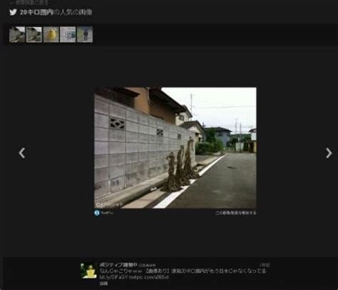 Manage your video collection and share your thoughts. 【もう日本じゃない】福島第一原発20キロ圏内の奇形植物画像に ...