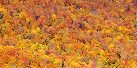 Here Are The Best Ways To See Fall Foliage In New Hampshire