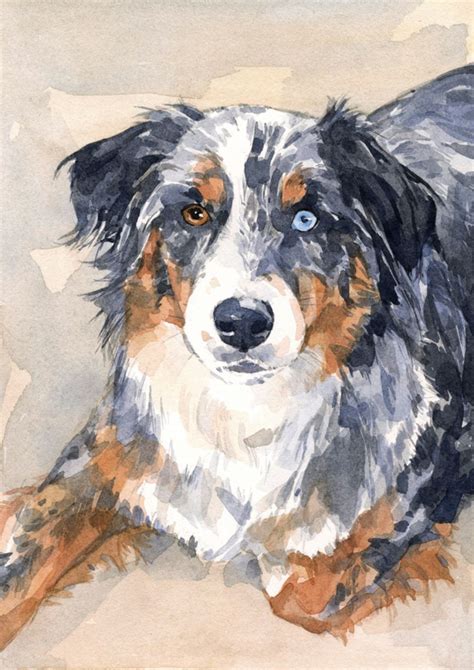 Australian Shepherd Watercolor Painting Custom Dog Portrait 5x7