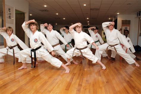 Martial Arts Clubs Industry Snap Shot 2016 Sports Club Advisors
