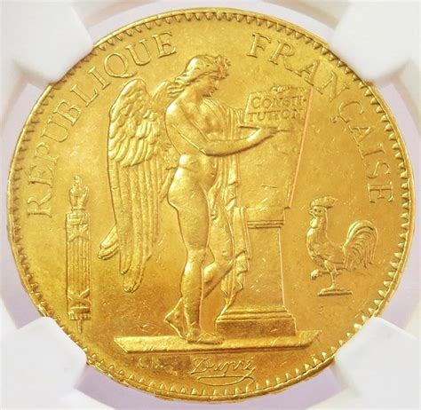 Ngc Certified 1882 French 100 Franc Gold Coin Antique Sage