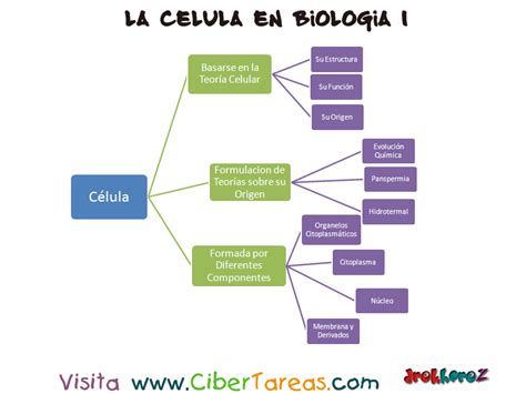 La C Lula Mapa Conceptual Biolog A Cibertareas