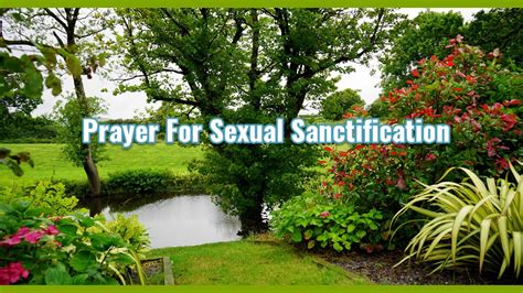 Prayer For Sexual Sanctification Divine Purpose Counseling And Coaching