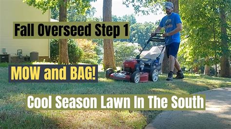 Cool Season Fescue Lawn In The Deep South Fall Overseed Prep Mow