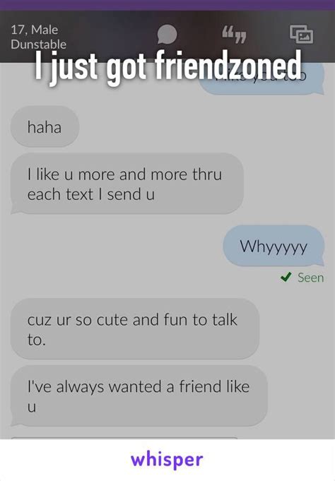 I Just Got Friendzoned Funny Messages Funny Text Messages Tumblr Funny