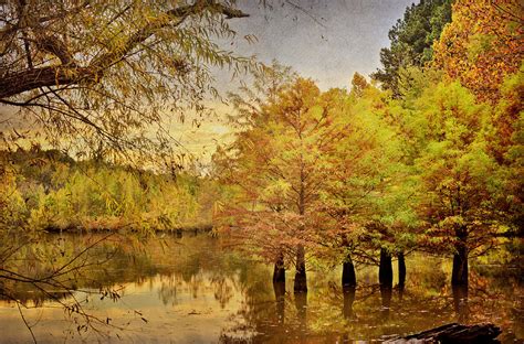 Autumn At The Creek Photograph By Cheryl Davis Fine Art America