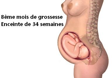 Enceinte De Mois Mais Toujours Aussi Cochonne Telegraph