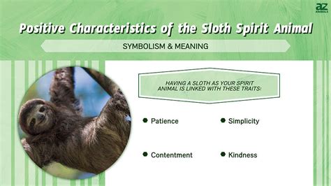 Sloth Spirit Animal Symbolism And Meaning A Z Animals