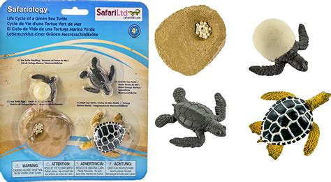 Safari 662316 Life Cycle Of A Green Sea Turtle Figurer