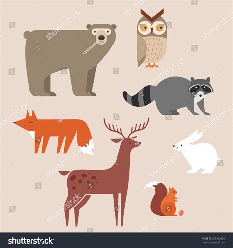 Cute Forest Animals Vector Set Include Bear Owl Fox Raccoon Deer