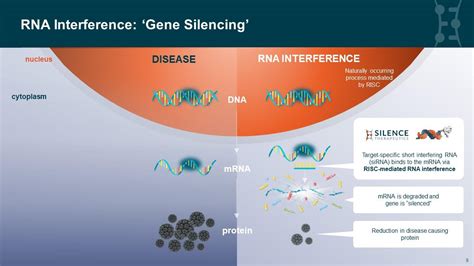 Silence Therapeutics Patients Gene Silencing Explained Gene