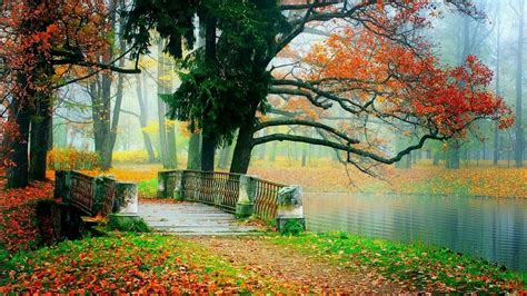 Beautiful Autumn Nature Colorful Autumn Scenery Bsmotion Scenery
