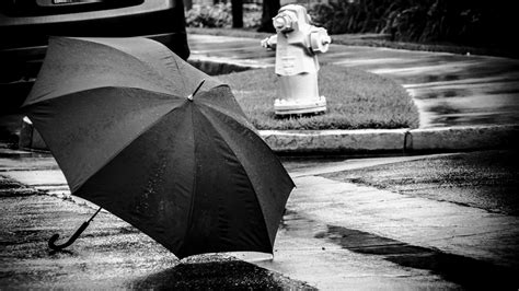 Free Images Man Light People White Night Photography Rain Wet Dark Portrait Umbrella