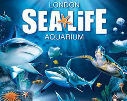 Sea life scheveningen is tijdelijk gesloten t/m 9 februari. Contact of Sea Life London Aquarium (phone, address)