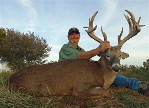 3 Day Texas White Tailed Deer Hunt With Full Body Mount For One Hunter