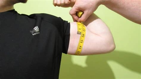 Average Bicep Size And Circumference Males Females Teens