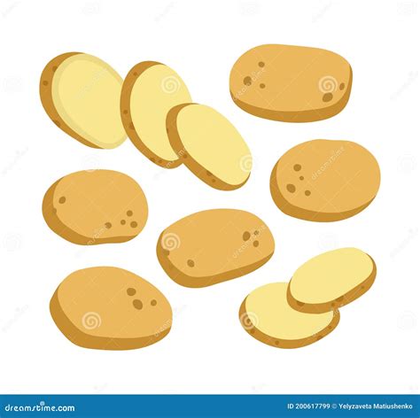 Vector Illustration Of Potato And Sliced Potato Set Of Potatoes