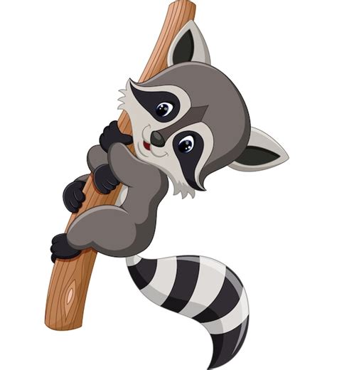 Premium Vector Cute Raccoon Cartoon
