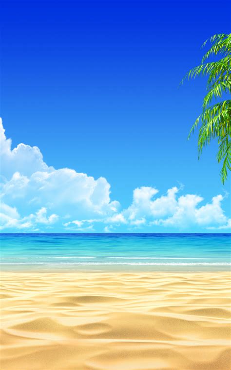 Free Download Tropical Beach Background Wallpaper 2560x1440 82716