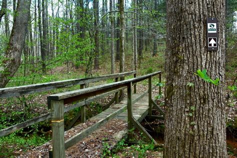 Palmetto Trail Day 18-20 - Enoree Passage - The Trek