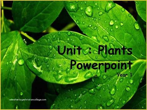 Plant Powerpoint Templates Free Download Of Plants Powerpoint And