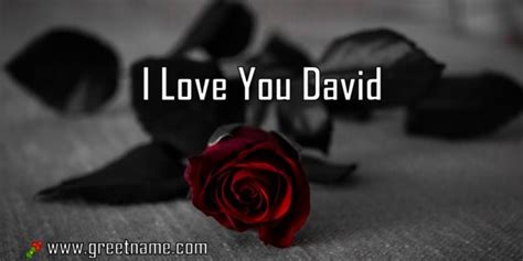 Wish you would, wish i could, think we should in my mind, in my heart, in my soul, and in my art i see you, you, you, ooh i love you. I Love You David Rose Flower - Greet Name