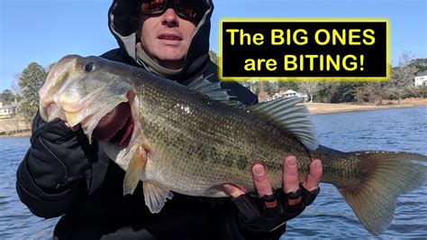 The Big Ones Are Biting Winter Bass Fishing Is Awesome Ft E