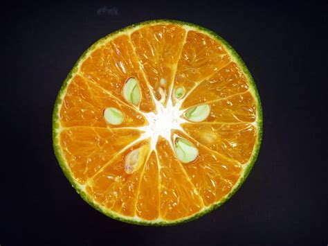 संतरा खाकर न फेंके बीज ब्लड प्रेशर करता है कंट्रोल और बाल भी होते है