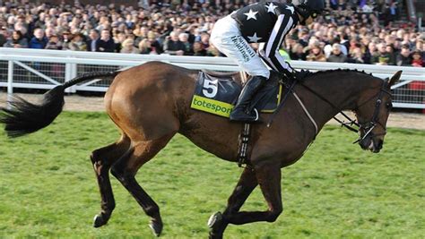 Horse Racing Imperial Commander Set For Newbury Farewell Dafabet