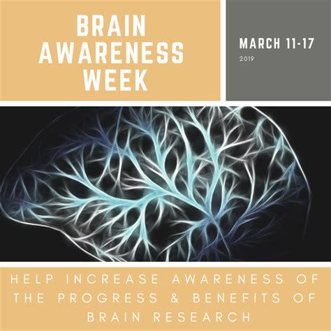Brain Awareness Weekunderstanding The Brain And Behavior